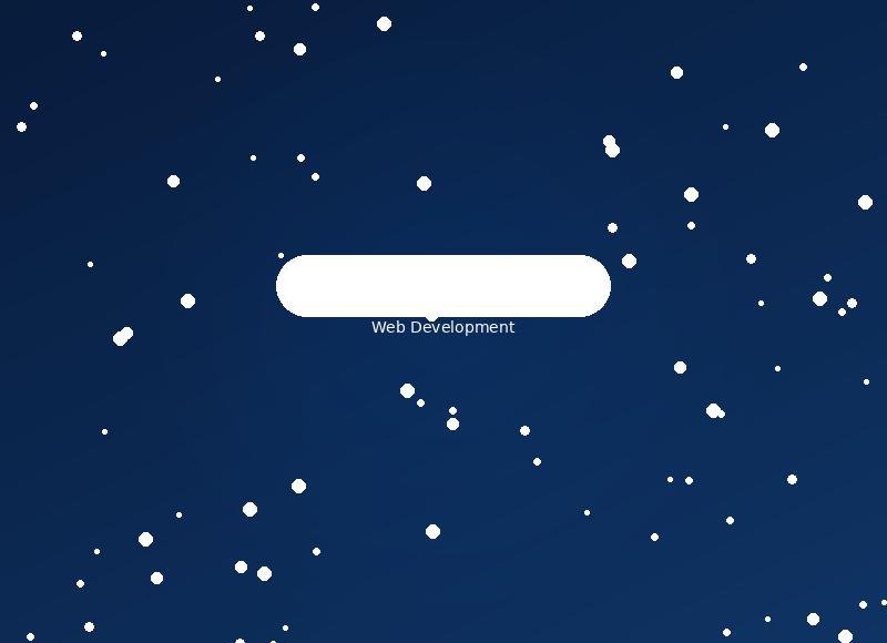 SaaS Platform Launch